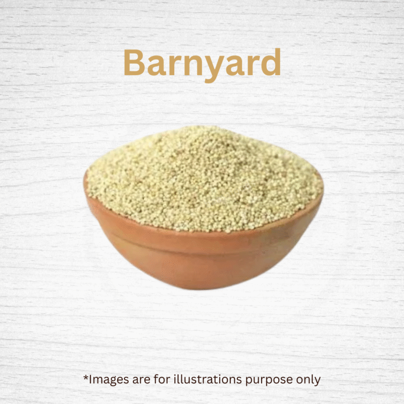 Barnyard - Image 3