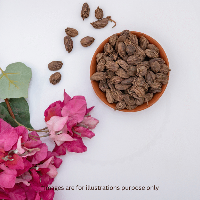 Black Cardamom - Jumbo - Image 2