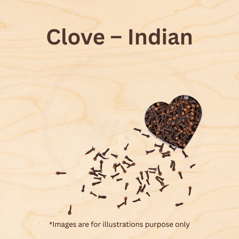 Clove - Indian - Image 3