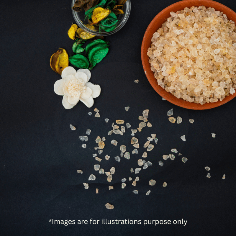 Edible Gum - Image 2