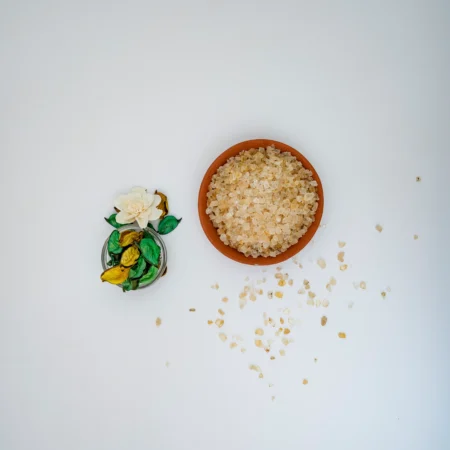 Edible Gum