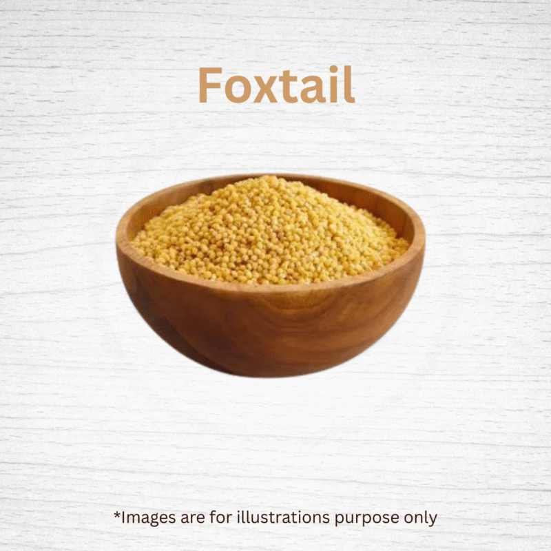 Foxtail - Image 3