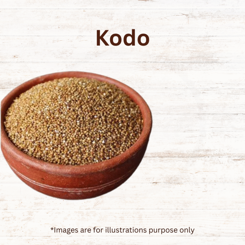 Kodo - Image 3