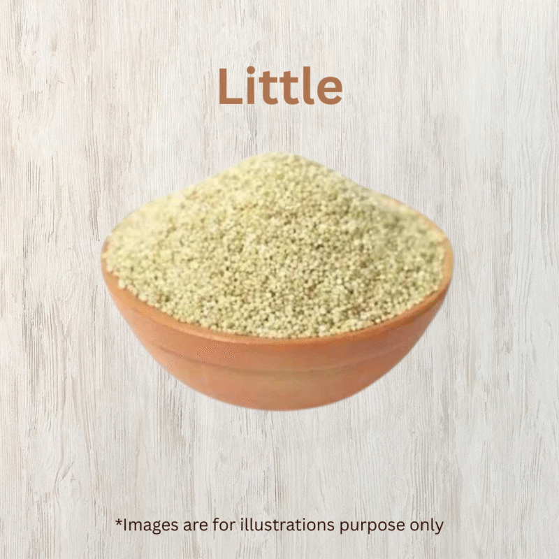Little - Image 3