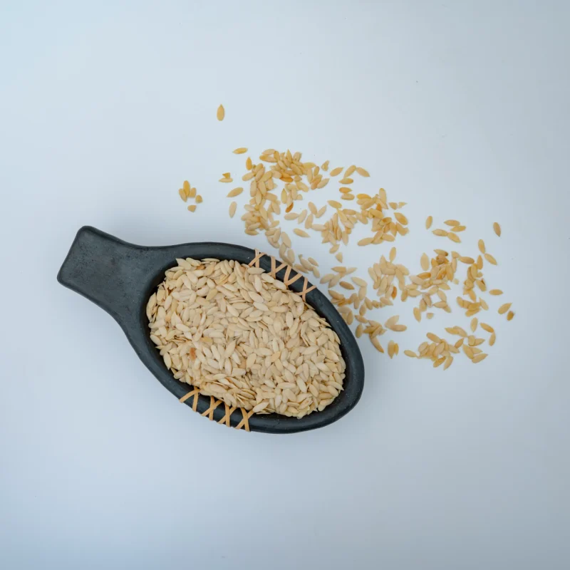 Muskmelon Seeds - Image 2