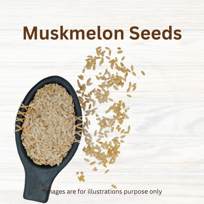 Muskmelon Seeds - Image 3