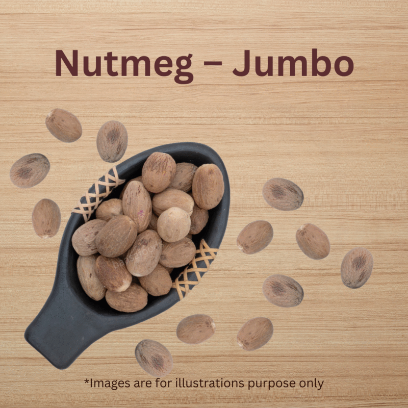 Nutmeg - Jumbo - Image 3
